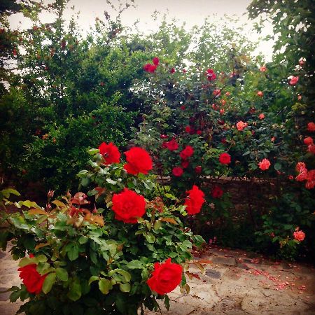 La Casa Rossa Otel Prínos Dış mekan fotoğraf