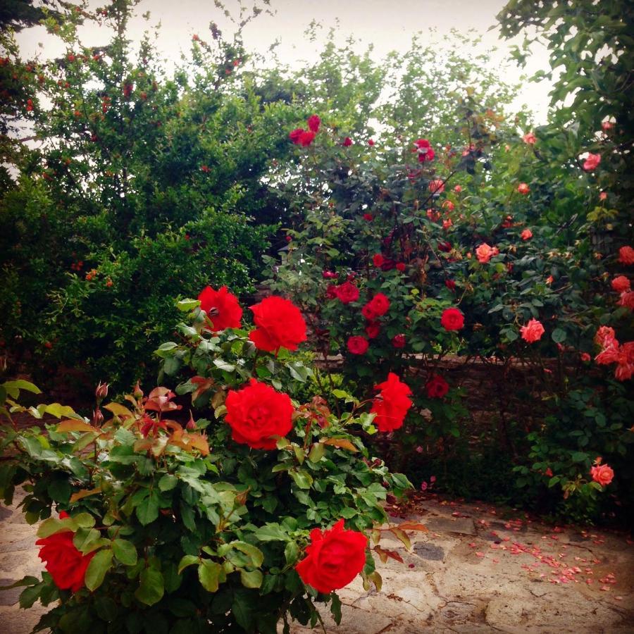 La Casa Rossa Otel Prínos Dış mekan fotoğraf